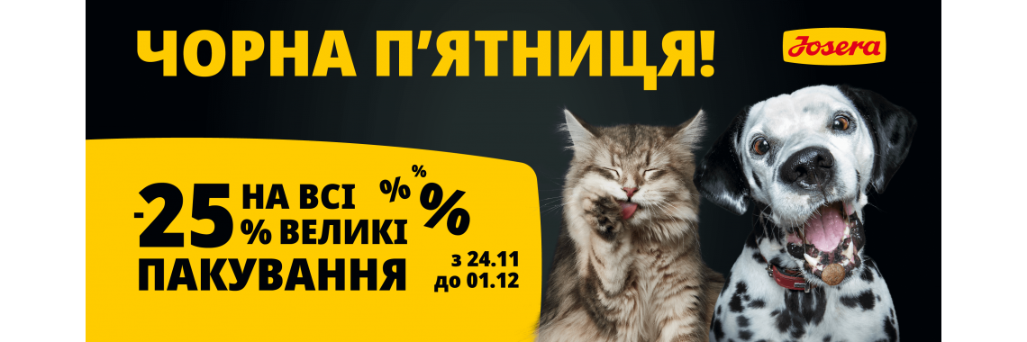 йоз ЧП