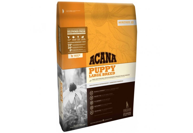Acana Puppy Large Breed